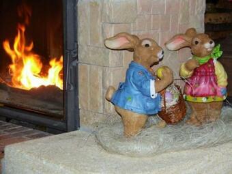 G�te Provench�res-sur-fave, 3 Pi�ces, 4 Personnes - Fr-1-589-224