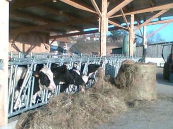 G�te Saint-polgues, 3 Pi�ces, 5 Personnes - Fr-1-496-182