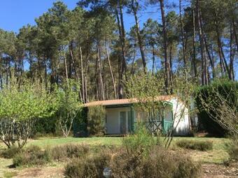 Domaine Des Grands Pins