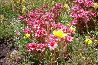 Room In A House Of The XVII Century - N5 Chez Jean Pierre