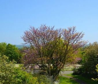 House With 4 Bedrooms In Plourhan With Furnished Garden And Wifi 5 Km From The Beach