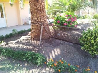 Apartments Macaso