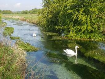 Highfield Farm Cabins