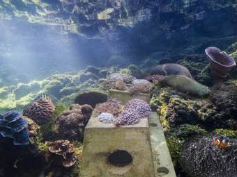 Hotel The Andaman Langkawi