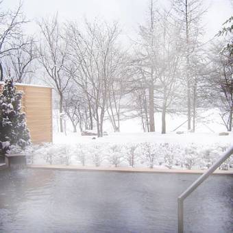 Lodge Hotel Ambient Tateshina Cottage