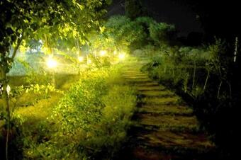 Hotel Chambal Wildlife S Lodge