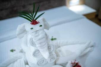 Hotel Vivana