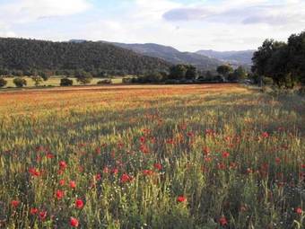 Agroturismo Agriturismo Il Casalino
