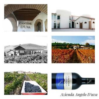 Agroturismo I Dolci Grappoli