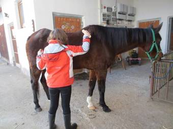 Agroturismo Oberschlichterhof