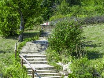 Quaint Holiday Home In Belforte All'isauro With Pool