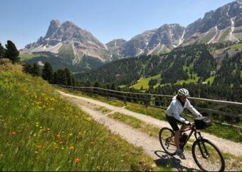 Apartamento Gr�dnerhof Alm�hi