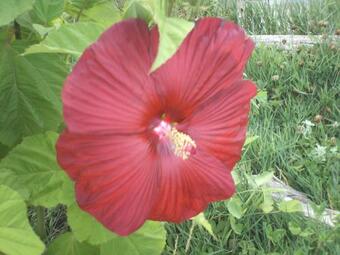 Agroturismo Il Casale Del Vento