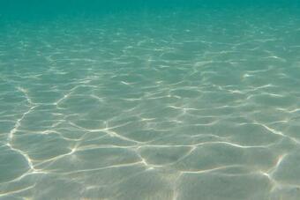 Apartamento Bilocale Nelle Campagne Pugliesi Con Piscina M542