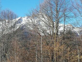 La Baita Nel Bosco C.i.r