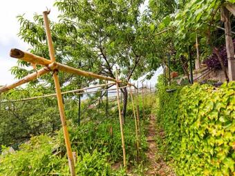 Holiday Home In Torremezzo Di Falconara With Garden