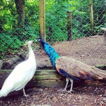 Moville Holiday Hostel