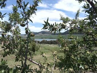 Bed & Breakfast Week End Sul Lago