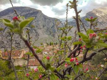 Villetta A Schiera Nel Cuore Del Pollino