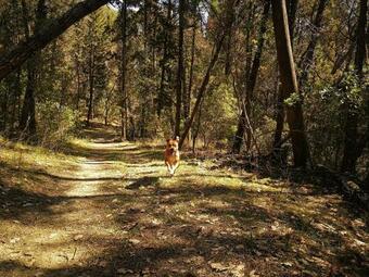 Apartment In The Vineyards - Apt. Alice