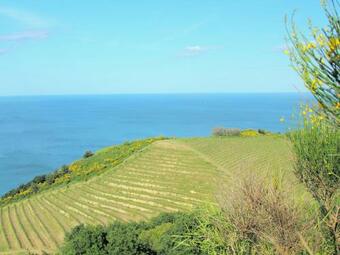 Villa Alluring Apartment In Tavullia With Swimming Pool