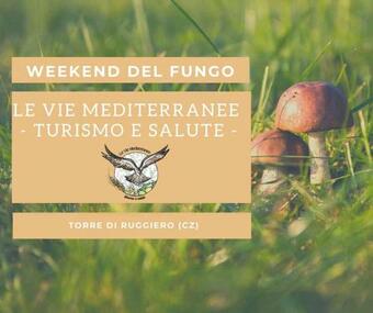 Bed & Breakfast Le Vie Mediterranee