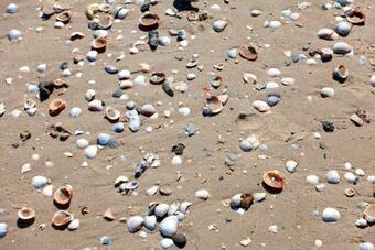 Apartamento Economico Bilocale Vicino Spiaggia Di Sabbia M721