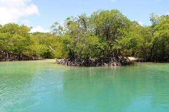 Apartment With One Bedroom In Saint Esprit With Wonderful Mountain View And Furnished Garden