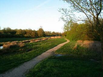 Swaenenburgh