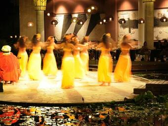 Bed & Breakfast Pension Te Miti