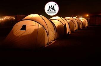 Desert Safari. Cholistan