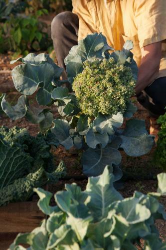 Agroturismo Cucumbi - Ngwali