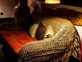 Villa Le Zend�mik