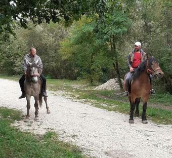 Hotel Wolves Inn , Hanul Lupilor