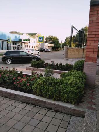 Kedr Hotel