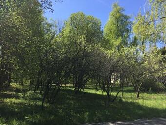 Zvenigorod Hostel