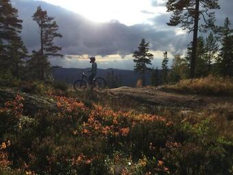 Stugby Gesundaberget