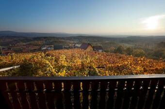 Vineyard Cottage Brodaric