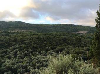 Apartamento Althea Studios