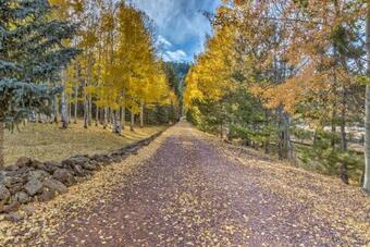 Guest Quarters At Snover Lodge And Stables In Greer!