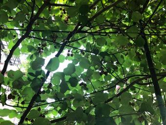 Hostal Sanni Guest House