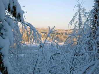 Bed & Breakfast Guest House Puukarin Pys�kki