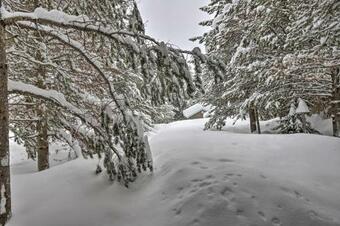 Island Park Cabin Near Atv Trails And Reservoir