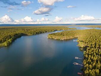 Spruce Fly By Kabino