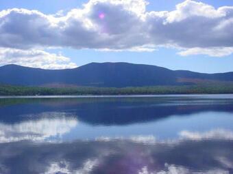 Sbll 31 By Morton & Furbish