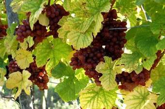 Hostal Galerie Zentgraf