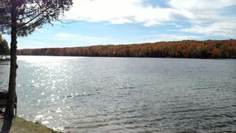 Log Cottage On Blue Lake