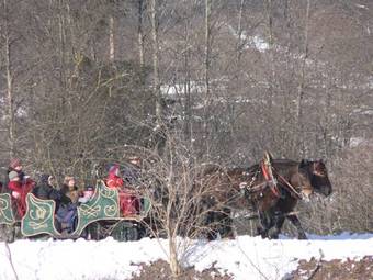 Agroturismo Bio-bauernhof Obertrattenbachhof