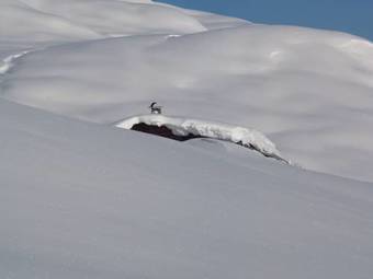 Apartamento Ferienhaus Nationalpark