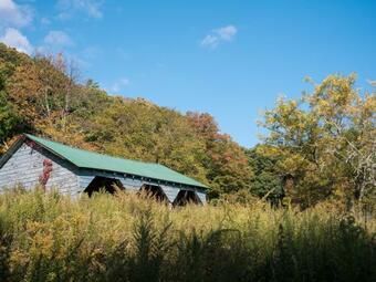 Tentrr - Abandoned Zoo Fido's Vineyard